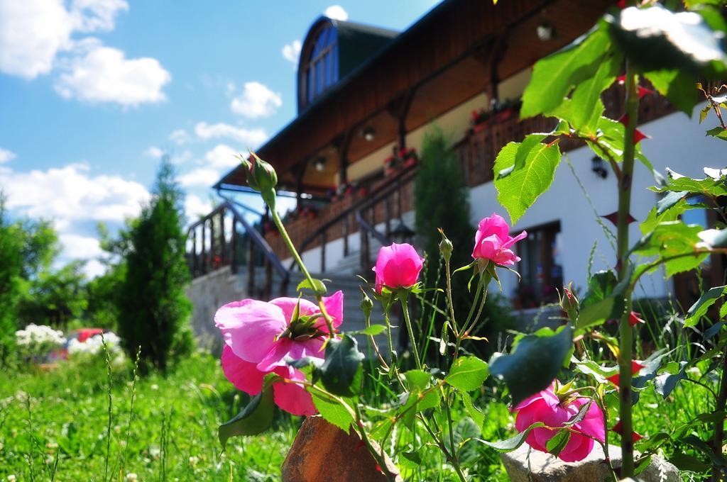 Conacul Domnitei Hotel Voroneț Exterior foto